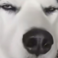 SvvXD(white)