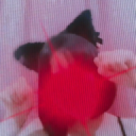 Lilin