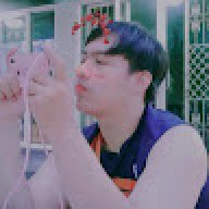 solosick36