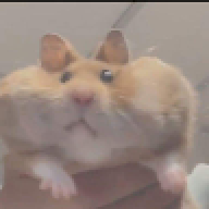 PGOPULA