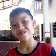 Arter13