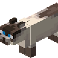 kyu322