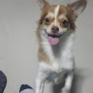 feawpai
