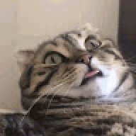 VEGO