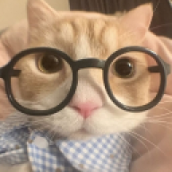 Aiunmer