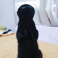 IshereXwn