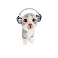 DoDowPlearn