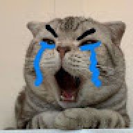 twxntysixq