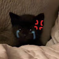 imunoi
