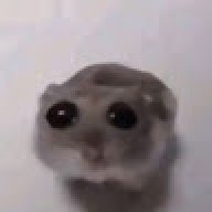 patt