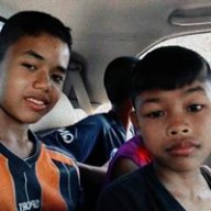 อนาวิล เเมลงทับ