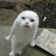 MikiSato