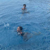 Plai_4564