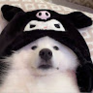 Justininnit