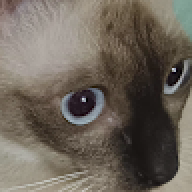 neekar555