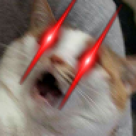 kittachai