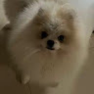 PMSOSO