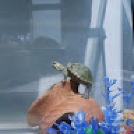 PaiSpd
