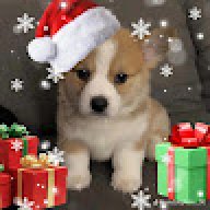 Maven_X4