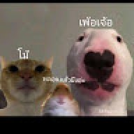 Hsvdhdhhd