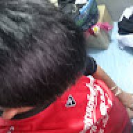 Ddog
