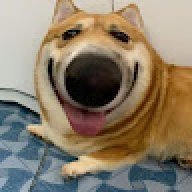 apisayut
