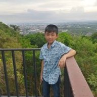 tanaman2596