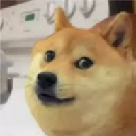BOYDLJ