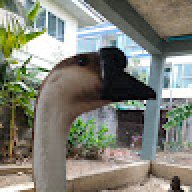 dgauolsskdo@wuuc1234567890