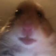 GOD_NOOB252
