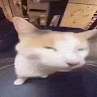 uuygfgg
