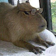 CapybaraZ