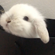 kornthida