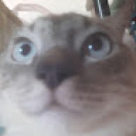 natthachai