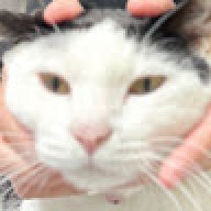 4r1n