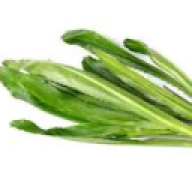cxllmesam_1415