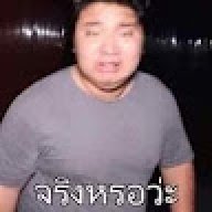 mangkut