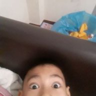 hvvjbvj