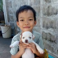 musim2553