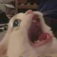 iSusKong