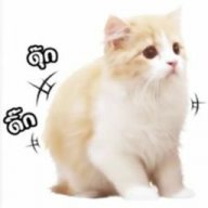 โตเกียว