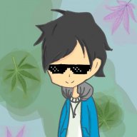 playerZ gamer