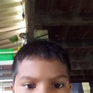 พิชญุตม์ เลือกผล