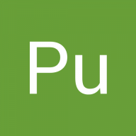 Pu phongsaran